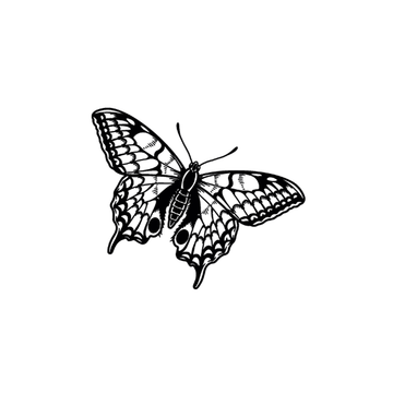 Diamorphic - Semi-permanent Tattoo