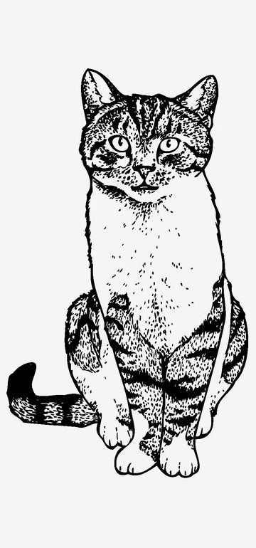 Nine Lives Grace - Semi-permanent Tattoo