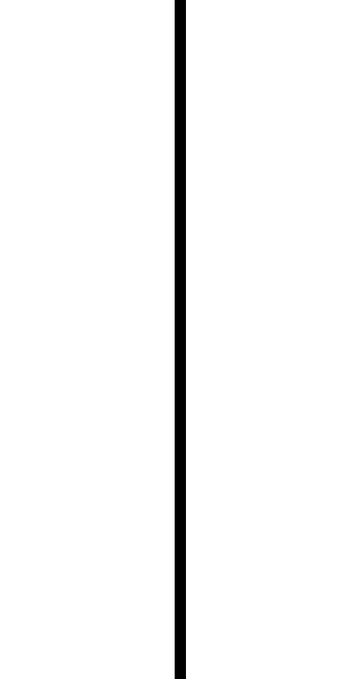 Single Line - Semi-permanent Tattoo